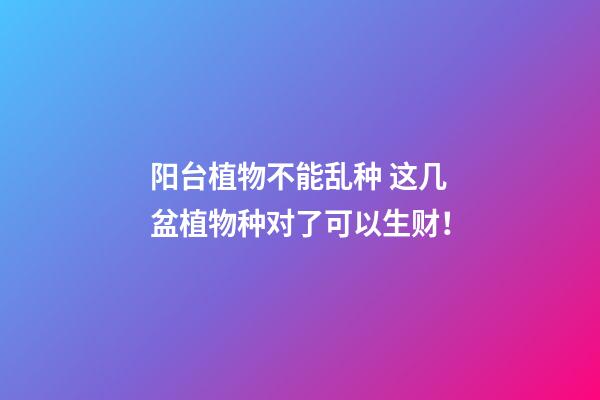 阳台植物不能乱种 这几盆植物种对了可以生财！